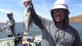 Millerton Lake Crappie Fishing [upl. by Deaner]