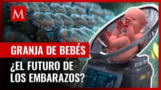 ¿Adiós a la maternidad Granja de bebés genera debates en redes [upl. by O'Rourke734]