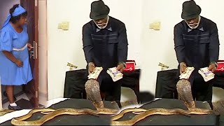 Just Release Now  The Boss amp Snake  New Release Village Nigerian Nollywood 2025 Full Movie [upl. by Beard301]