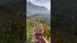 Wine tasting amp walk in vineyards Bex Switzerland 🇨🇭 swissnature winetasting [upl. by Beitz]