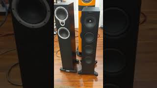 KEF Q550 Floorstanding Speakers [upl. by Doty]