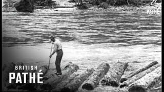 Logging In Idaho  USA 1926 [upl. by Noremac]