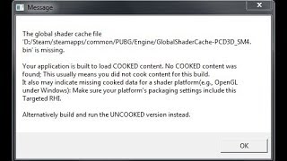 🚩 Global shader cache file is missing [upl. by Krasnoff]