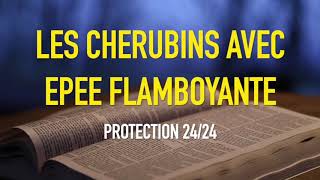 LES CHERUBINS AVEC EPEE FLAMBOYANTE PROTECTION 2424 [upl. by Lrak]