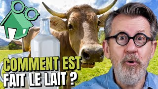 🐮Comment la vache faitelle du lait  🥛 [upl. by Ayita824]