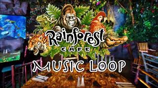 Rainforest Cafe Music amp Ambience  Disney Springs [upl. by Oliva]