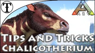 Fast Chalicotherium Taming Guide  Ark  Survival Evolved Tips and Tricks [upl. by Doone]