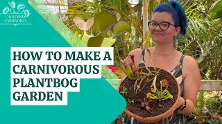 How To Make a Carnivorous Plant Bog [upl. by Templas]