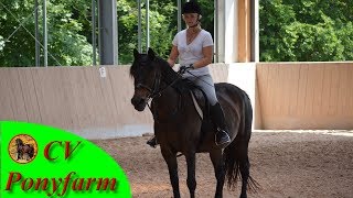 Reiten lernen mit der CV Ponyfarm Kreative Übungen für einen korrekten Reitersitz [upl. by Younglove62]