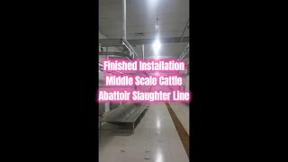 Cattle Modern Abattoir Slaughter Line Small Middle Scale Cow Slaughterhouse Meat Processing Plant [upl. by Knudson]