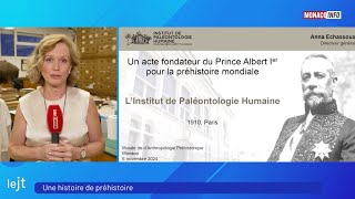 Paléontologie  une histoire de préhistoire [upl. by Cathryn433]