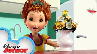 Nancy Arranges Flowers 🌼  Fancy Nancy  Disney Junior [upl. by Ahselaf473]