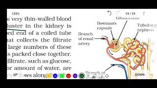 Excretion in plants and human beings 10th std cbse life processes 🥰 Science in Tamil [upl. by Melany]