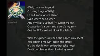 Whiskey Seed with Lyrics Kerry LivgrenSeeds of Change [upl. by Aneliram]