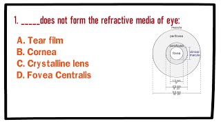 MCQ  Physiology of Eye and Vision [upl. by Thorner30]