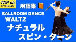 【社交ダンス】ナチュラル・スピン・ターン《ワルツ》困ったときの用語集 [upl. by Nyledaj]