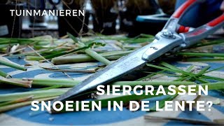 Siergrassen snoeien in het voorjaar Hoe doe je dat  Tuinmanieren [upl. by Adnohs]