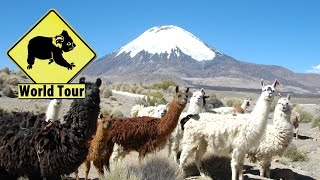 Voyage au Chili Parc national Lauca Maryse amp Dany © Youtube [upl. by Daveda]