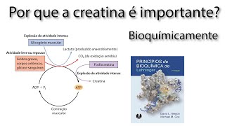 A Bioquímica da Creatina Porque ela é importante [upl. by Tor509]