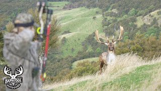 New Zealand Hunting for Fallow Deer [upl. by Neirad]