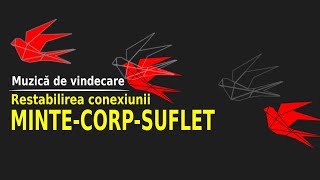 MUZICA DE VINDECARE  REFACEREA CONEXIUNII MINTE CORP SUFLET  528Hz [upl. by Metzger]