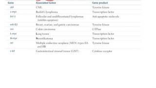 Pathology Neoplasia Part 2 [upl. by Natalie]