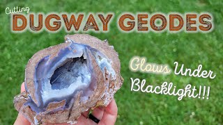 These Geodes GLOW Under a UV Blacklight  Cutting Geodes from Utahs Dugway Geode Bed [upl. by Lianna]