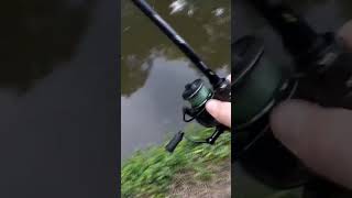 Bass Came Out From Under the Steps to Eat It bassfishing fishing CheapAngler fishingvideo [upl. by Keifer]