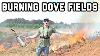 BURNING Fields for DOVE HUNTING Millet [upl. by Aiderfla]