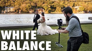 White Balance For Video EXPLAINED How Cameras See Color amp Light [upl. by Lamek]