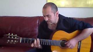 Daniel Balavoine  La Vie Ne Mapprend Rien  Guitare Fingerstyle [upl. by Ycinuq]