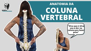 ANATOMIA DA COLUNA VERTEBRAL 2 [upl. by Lotty]