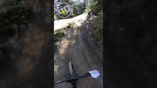 BIKEPARK SERFAUS FISS LADIS 2024 🇦🇹 shorts mtb fun youtube funny shortsvideo shortsfeed [upl. by Glanti]