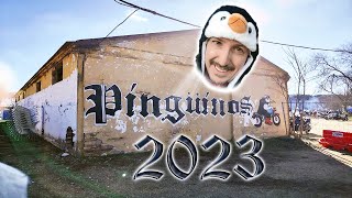 Pingüinos 2023 by SEASERO🐧 [upl. by Thia]