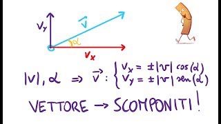 Scomposizione di un Vettore [upl. by Vadim]