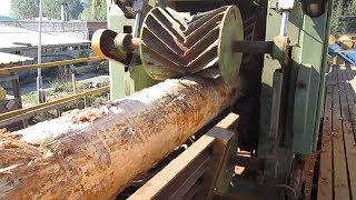 Amazing Automatic Wood Sawmill Machines Modern Technology  EXTREME Fast Wood Cutting Machine [upl. by Otsuaf]