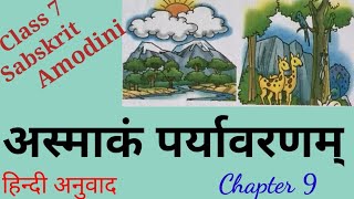 class 7 sanskrit amodini chapter 9 amodini sanskrit book class 7 chapter 9 हिंदी अनुवाद [upl. by Sager775]