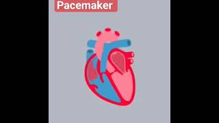 what is pacemaker pacemaker pacing device [upl. by Mcbride]