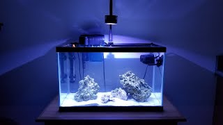 Build A 10g Nano Reef On A Budget 2020 Edition [upl. by Parnell]