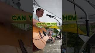 Pearl Jam “Yellow Ledbetter” Lyrics pearljam coversong acousticcover singersongwriter [upl. by Ydnam]