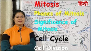 Acids Bases And Salts  Part 23  English  Class 7 [upl. by Abrahamsen]