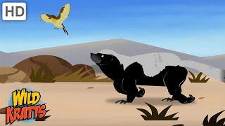 Amazing Adaptations Part 110  How Animals Survive in the Wild  Wild Kratts [upl. by Nnylharas992]