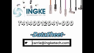 T4140012041000 DataSheet  ingketechnet [upl. by Navlys]