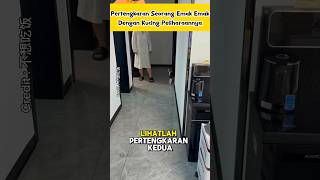 Seekor Kucing Abu Abu Bertengkar Dengan Seorang Emak² sad kucing kucingsedih cat kucinglucu [upl. by Wilmar]