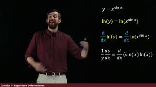 Logarithmic Differentiation  Example xsinx [upl. by Gris581]