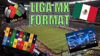 Liga MX Explained [upl. by Ludlew800]