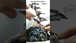 Aquascaping Bonsai Driftwood with Fissidens Aquarium Moss shorts [upl. by Buatti710]