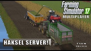 quotHAKSEL SERVERquot FarmingSimulator 17 Multiplayer Farm Polder [upl. by Godrich]