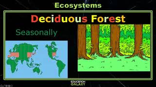 5th Grade  Science  Ecosystems  Topic Overview [upl. by Cynthia]