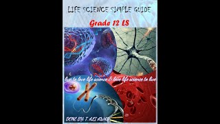 Doc 5 Synapses Structure and Function part 1 Grade12LS [upl. by Jet]